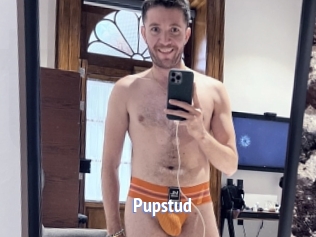 Pupstud