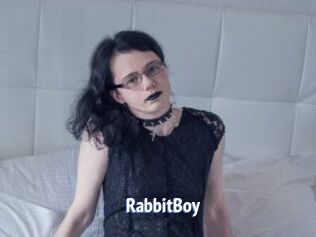 RabbitBoy