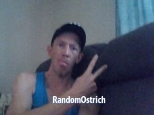 RandomOstrich