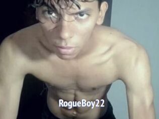 RogueBoy22