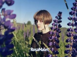 RosaMalet