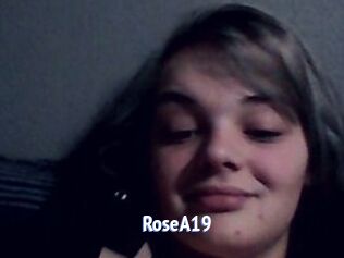 RoseA19