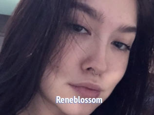Reneblossom