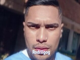 Rodriigog