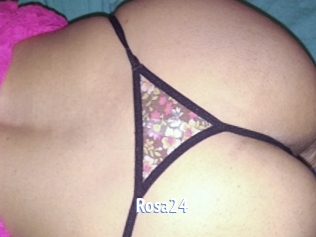 Rosa24