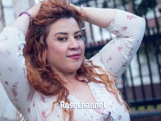 rosechannel Telefon Kontakte