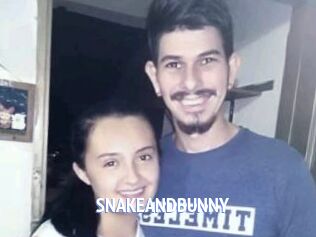 SNAKEANDBUNNY