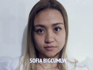 SOFIA_BIGCUMLW