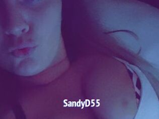SandyD55