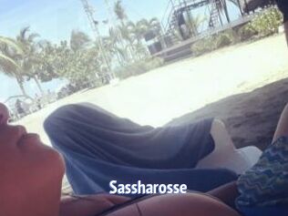 Sassharosse