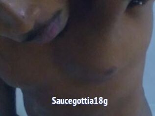Saucegottia18g