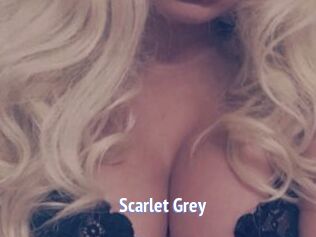 Scarlet_Grey