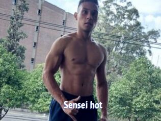 Sensei_hot