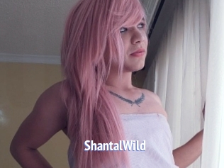 ShantalWild Telefon Kontakte