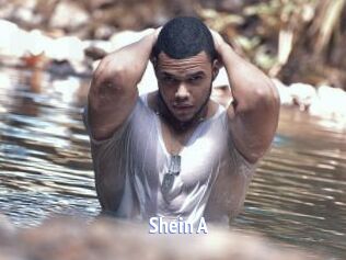Shein_A