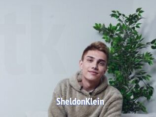 SheldonKlein