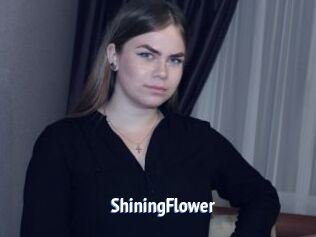ShiningFlower
