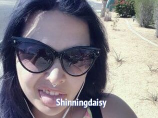 Shinningdaisy
