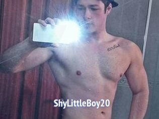 ShyLittleBoy20