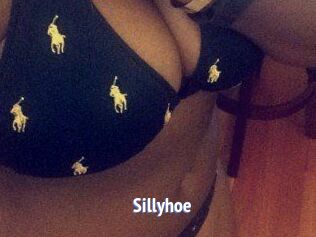 Sillyhoe