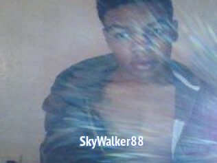 SkyWalker88