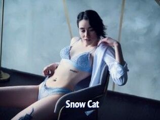 Snow_Cat