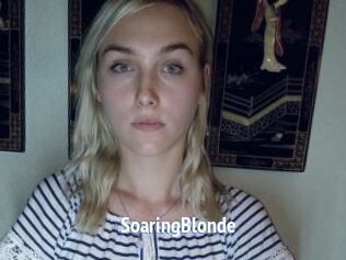 SoaringBlonde