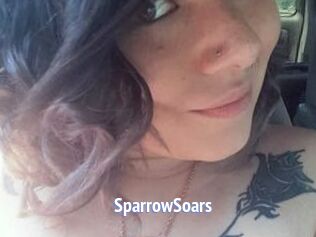 SparrowSoars