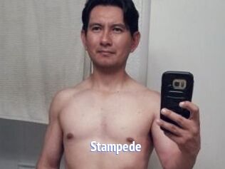 Stampede