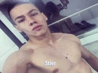 Stier