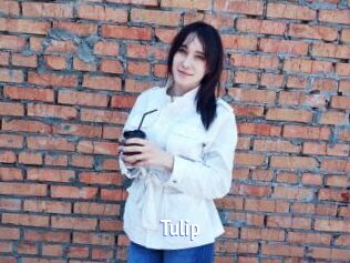 Tulip