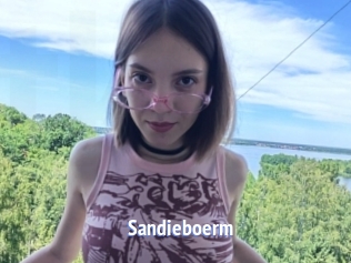 Sandieboerm
