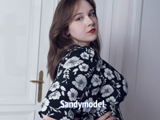 Sandymodel
