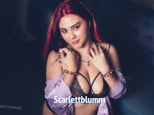 Scarlettblumm