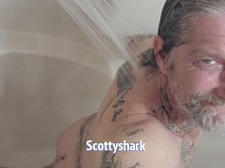 Scottyshark