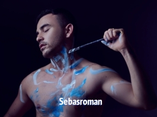 sebasroman Telefon Kontakte