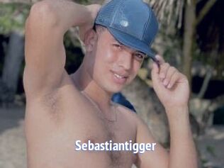 Sebastiantigger