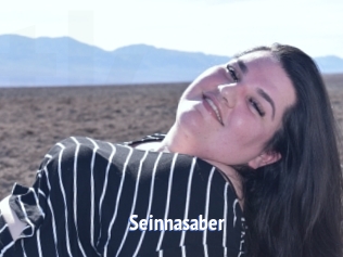 Seinnasaber