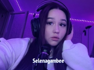 Selenagambee