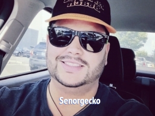 Senorgecko