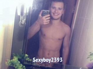 Sexyboy2393