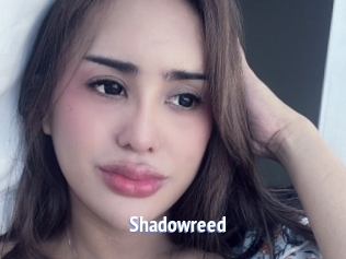 Shadowreed