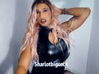 Sharlotbigcock