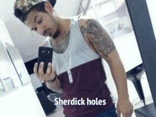 Sherdick_holes