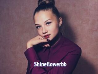 Shineflowerbb