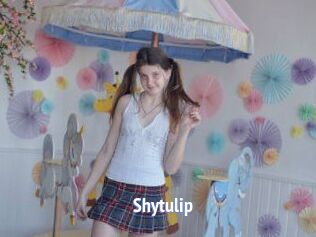 Shytulip