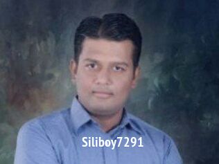 Siliboy7291
