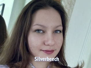 Silverbeech