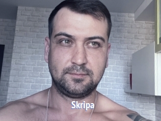 Skripa