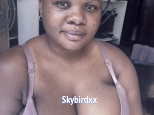 Skybirdxx